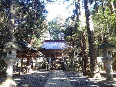 image-2