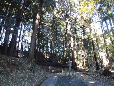 image-2